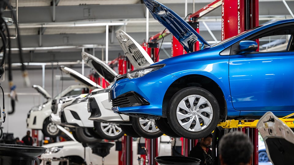 A row of Toyota's on workshop hoists